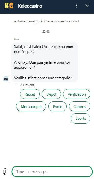 Kaleo Casino support